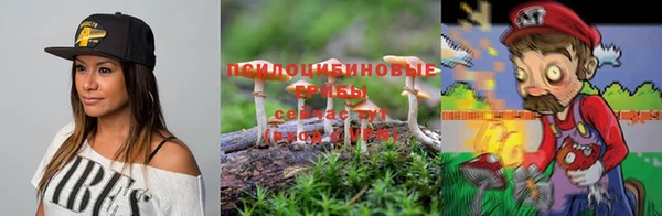 прущие грибы Верхнеуральск