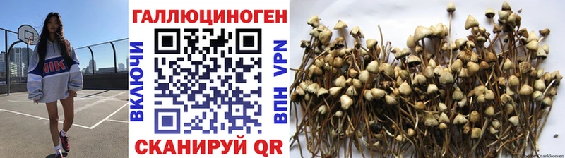 Псилоцибиновые грибы прущие грибы даркнет сайт mega зеркало Гороховец